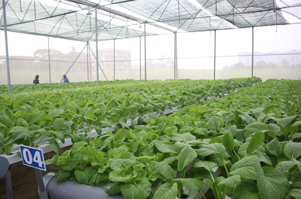 The Smart Agricultural Research and Application Garden