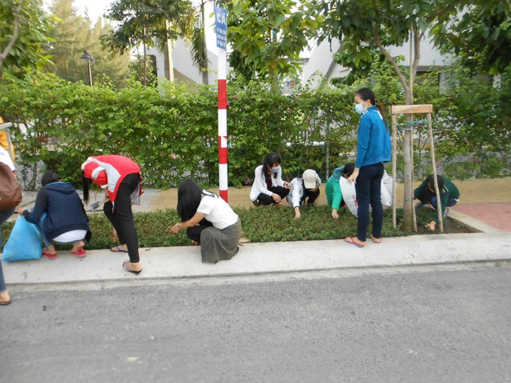 Sinh viên tham gia chương trình chủ nhật xanh
