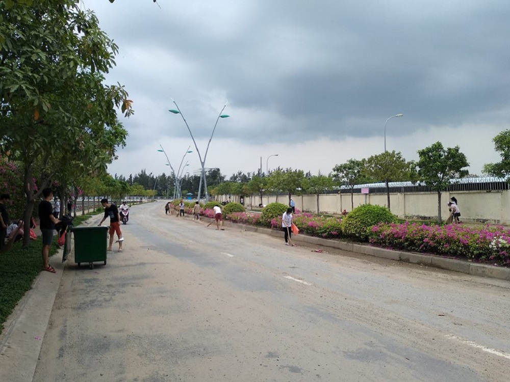 Sinh viên tham gia chương trình chủ nhật xanh