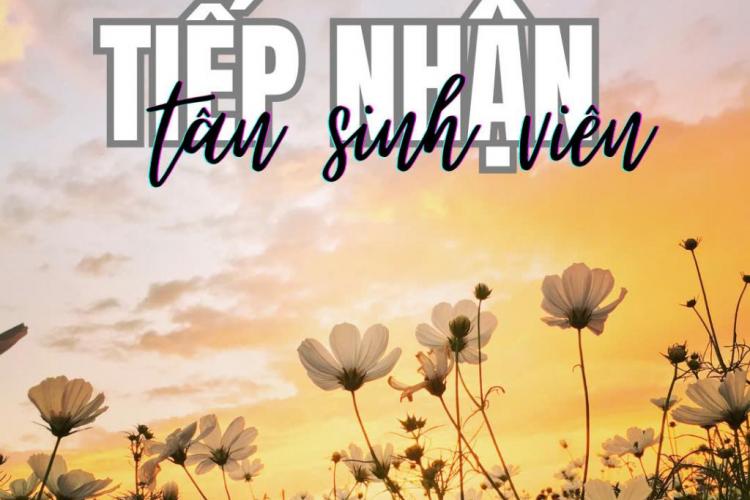 Thông báo tiếp nhận Tân sinh viên